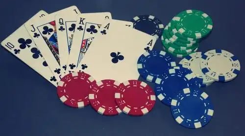 kz999 bet